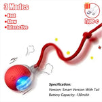 Interactive Automatic Cat Toy Ball – Rechargeable Rolling Pet Toy