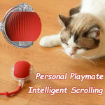 Interactive Automatic Cat Toy Ball – Rechargeable Rolling Pet Toy